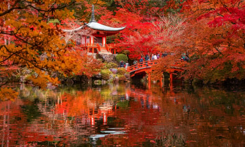 5 Best Places in Asia to Visit in November (with Destination Spots)