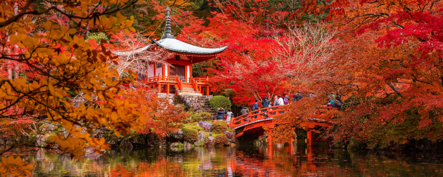 November Travel Guide